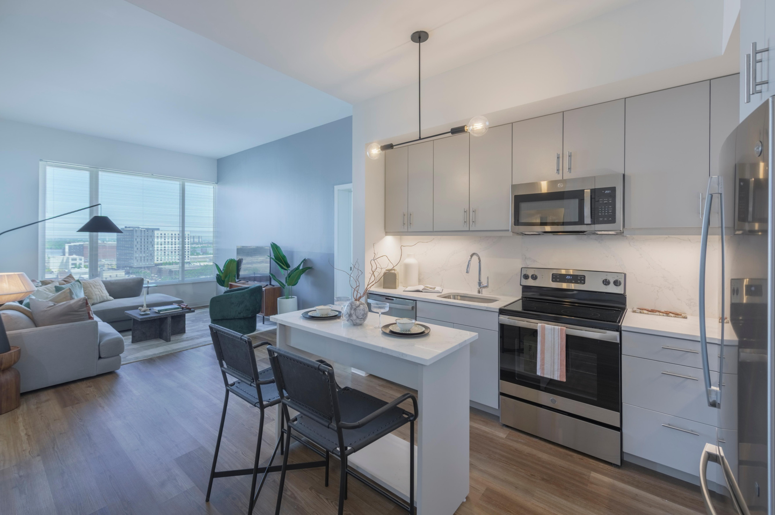 Living Room and Kitchen